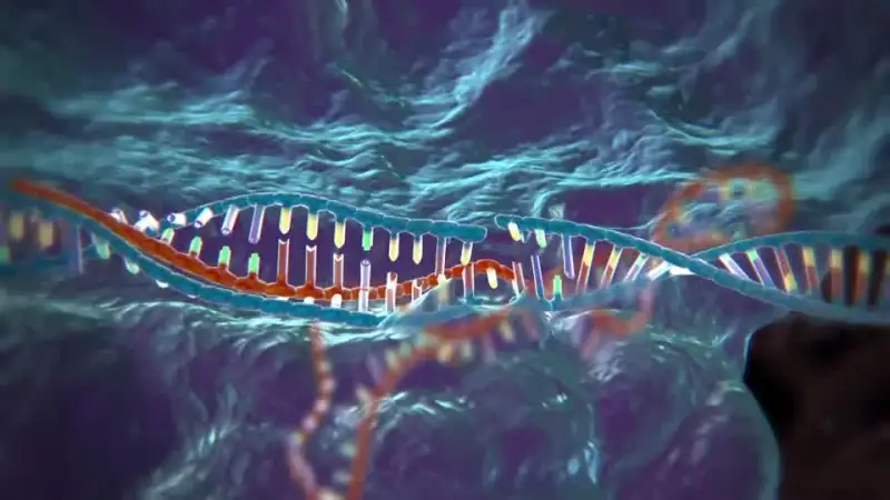 DNA strand with highlighted base pairs.