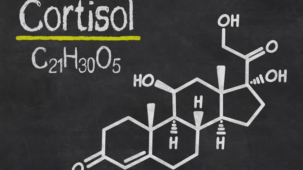 Cortisol Simplified