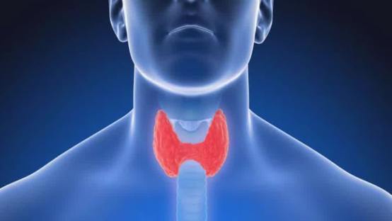 Hyperthyroid Warning