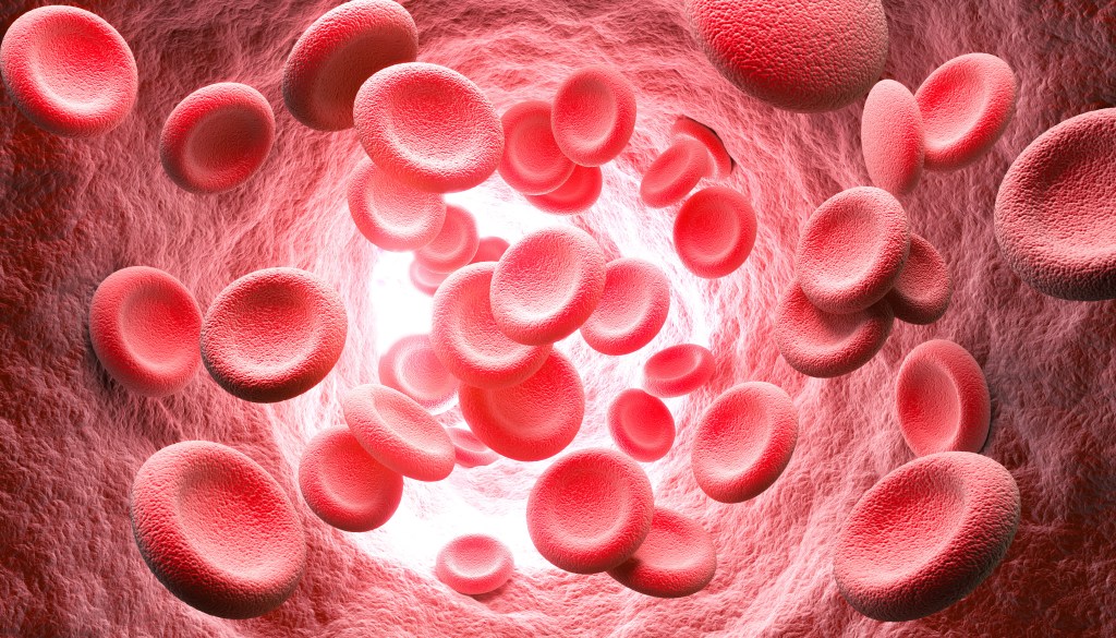 Red blood cells