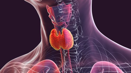 5 Common Thyroid Problems - Symptoms and Causes