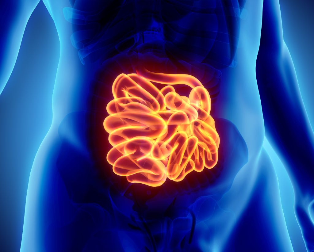 Intestinal inflammation  
