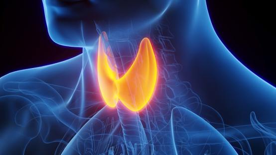 Hypothyroidism Diet: What to Eat and Avoid