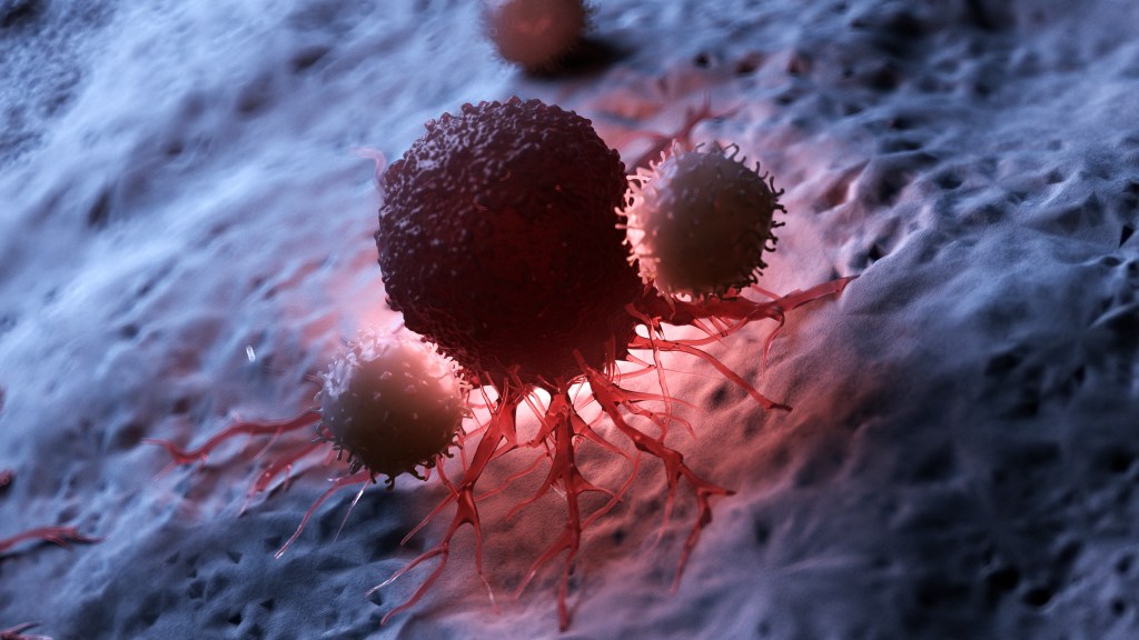 Immune response illustration