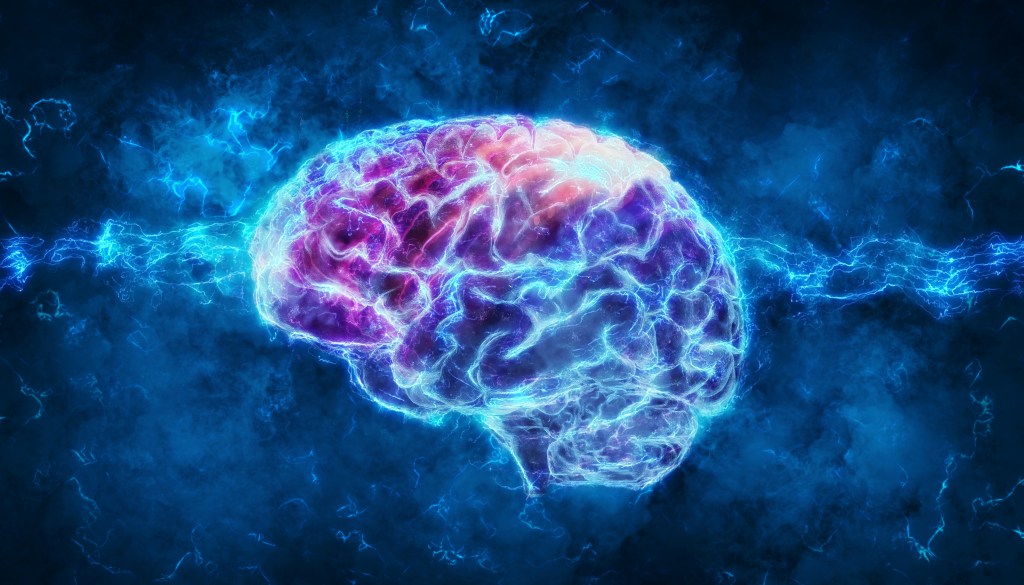 Brain illustration