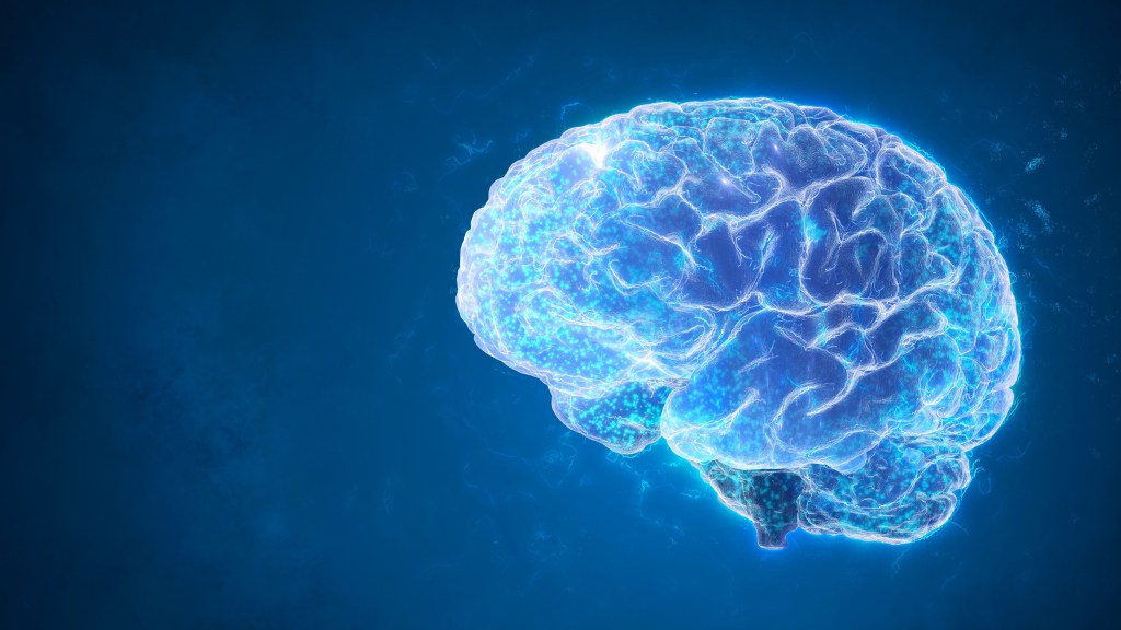 Brain health concept