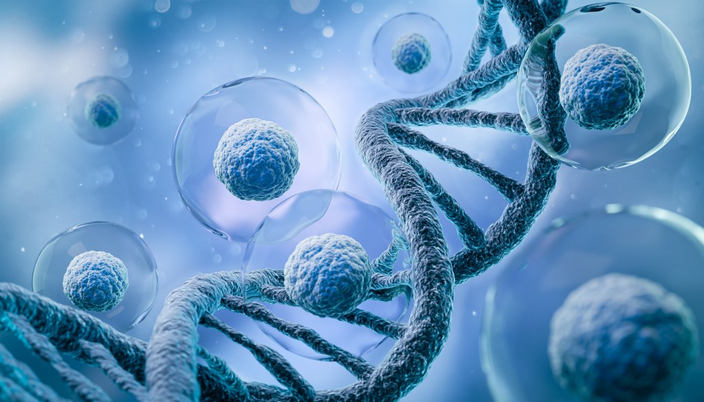 Cells and DNA rendering