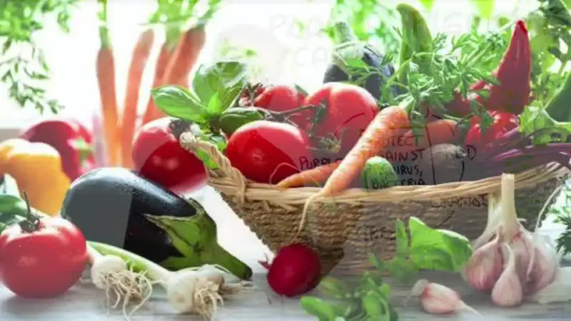 Basket of assorted fresh vegetables