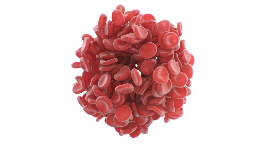 Blood cell cluster 