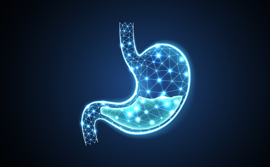 Stomach acid illustration