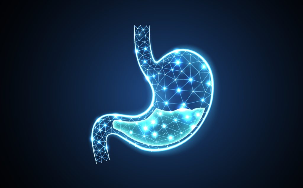 Stomach acid illustration