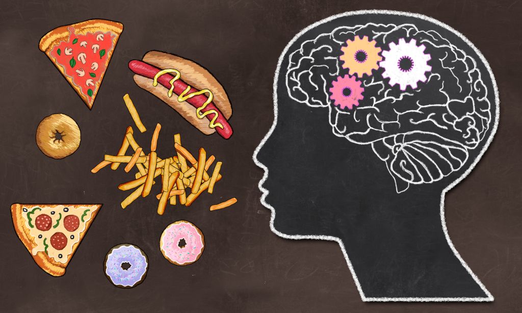 Brain reward circuitry