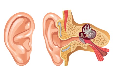 How to Dissolve Ear Crystals Related to Vertigo
