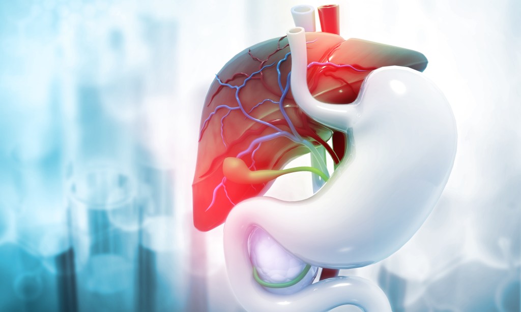 Gallbladder and liver 