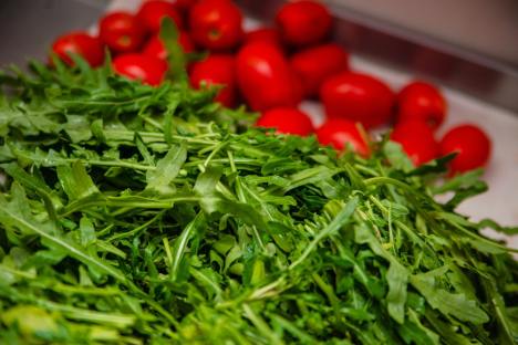 6 Amazing Health Benefits of Arugula