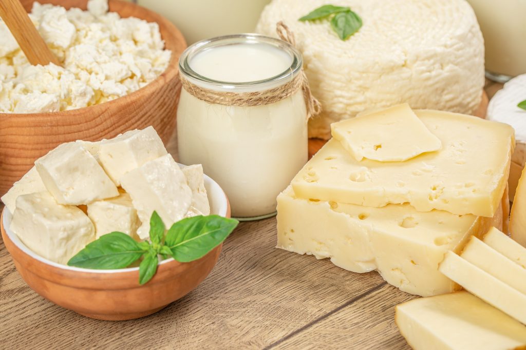 Selection of fermented dairy products