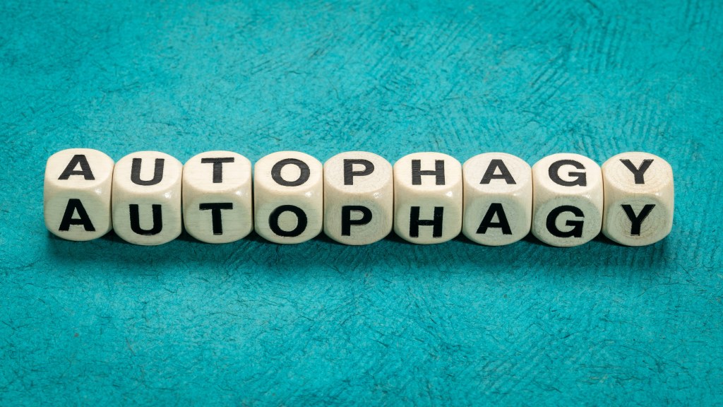 Word autophagy in cubes