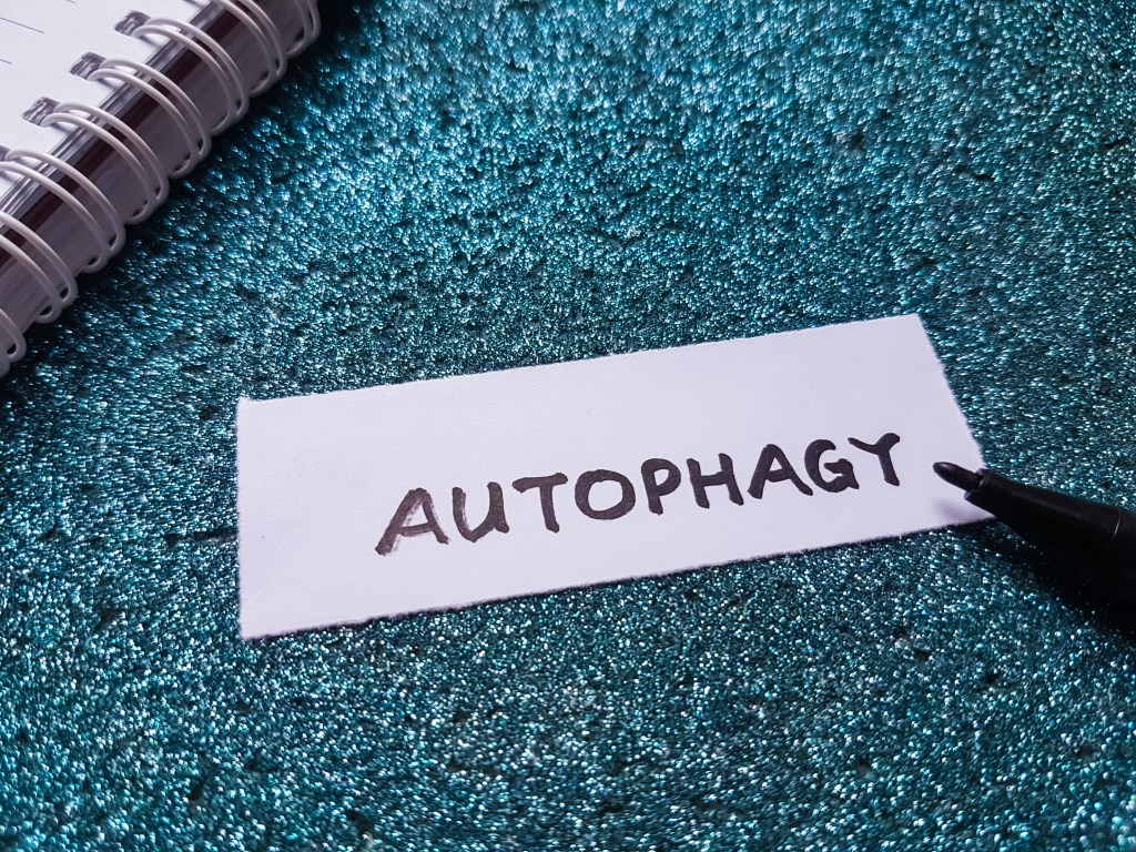 Autophagy