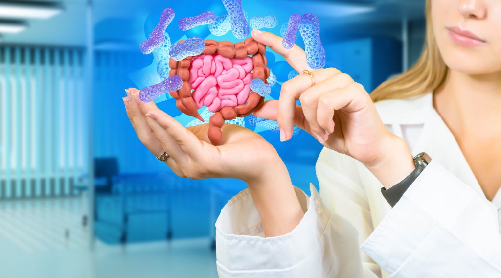 Gut bacteria illustration