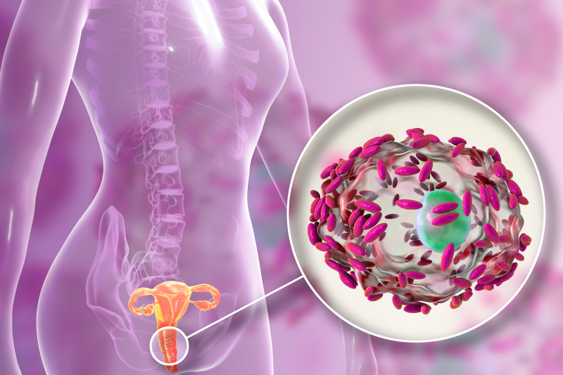 Vagina bacteria growth