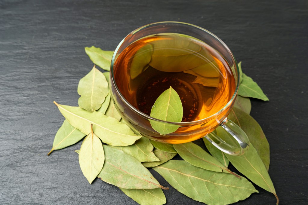 Loose leaf bay leaf tea
