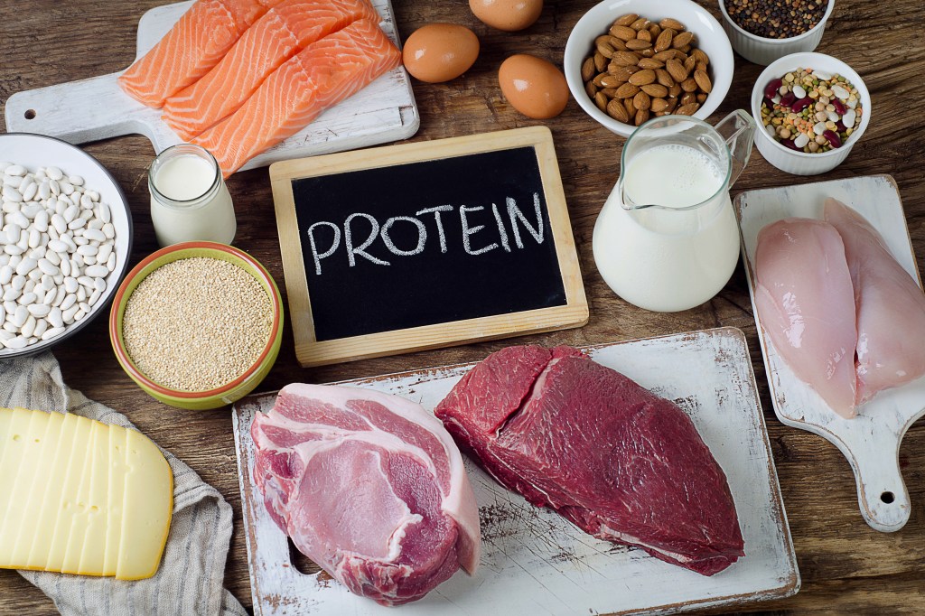 High protein foods 
