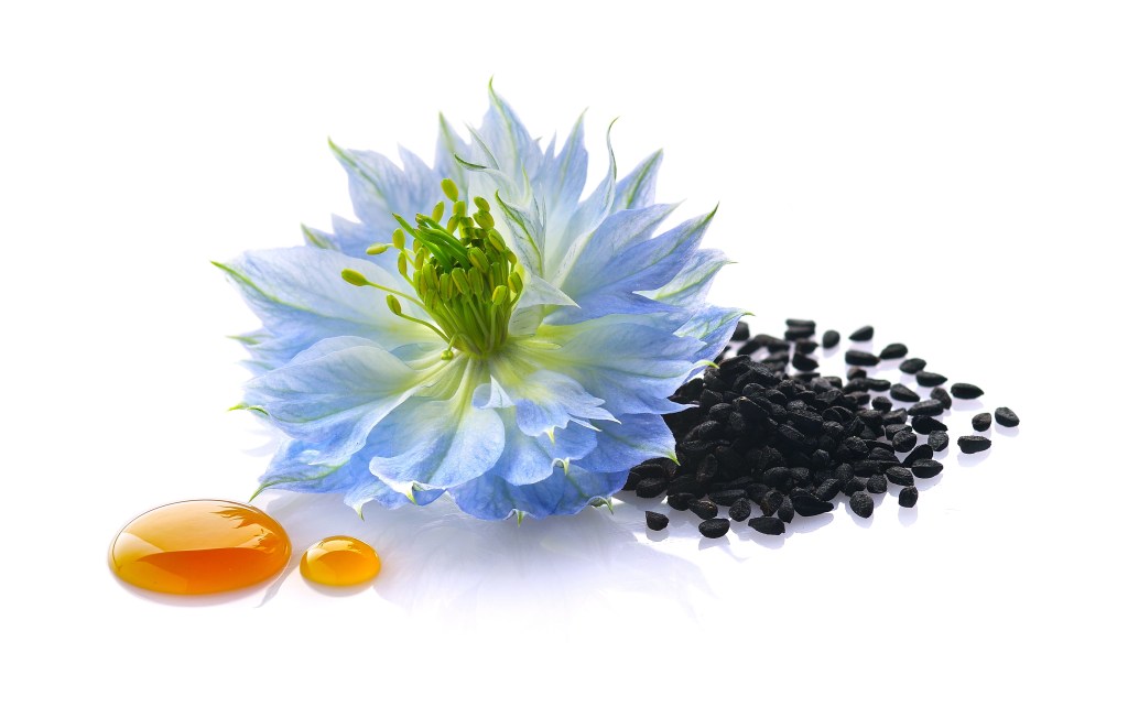 Nigella sativa flower seeds