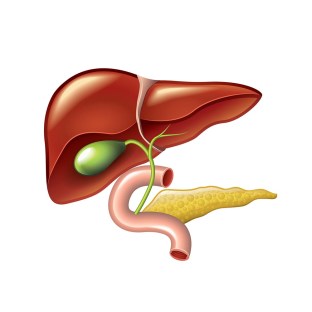 6 Keto Tips for a Sluggish Gallbladder