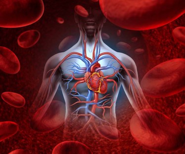 Best Diet for Heart Disease or Heart Attack