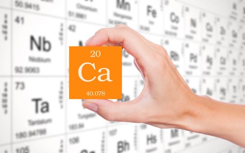 Best Sources of Calcium
