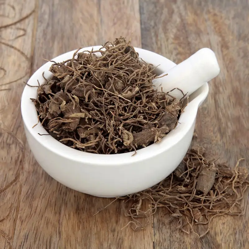 black cohosh natural menopause remedy | Hot flashes and Menopause Changes