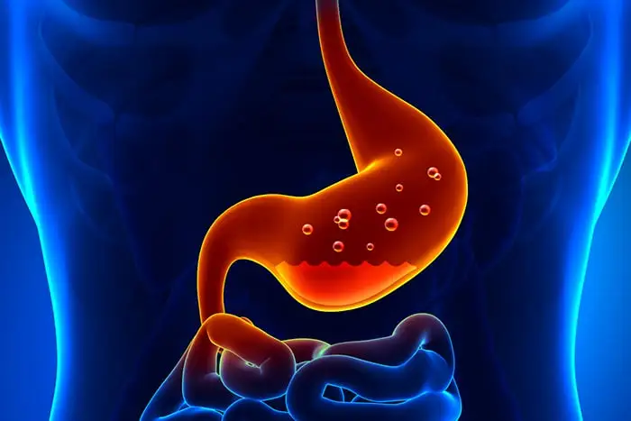 Strong stomach acid aids zinc absorption