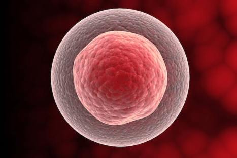 Autophagy: Exercise vs. Fasting
