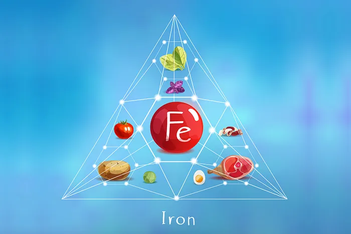 Iron nutrient pyramid
