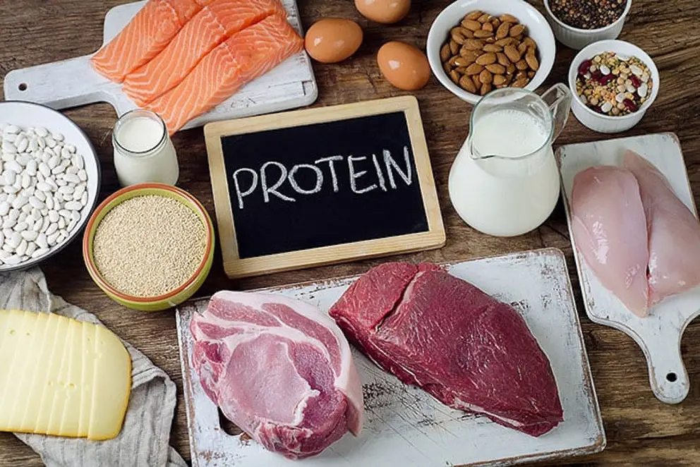 Protein-rich foods