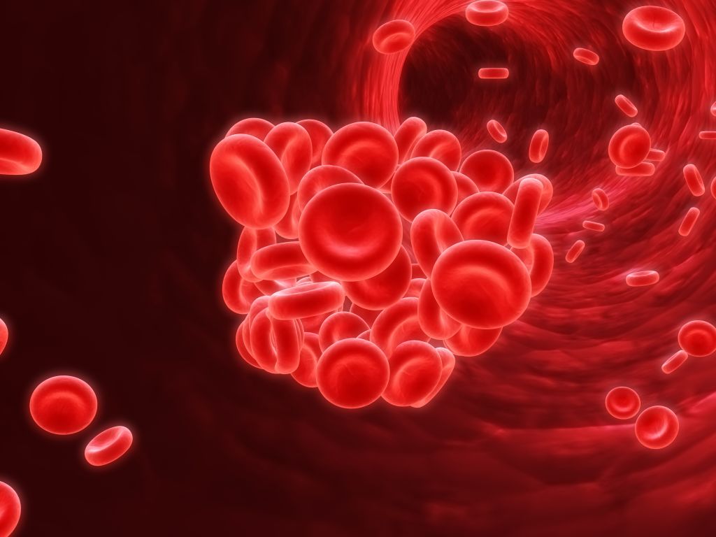 Blood clot illustration
