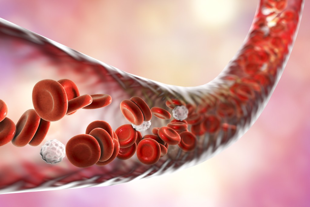 Healthy blood vessel