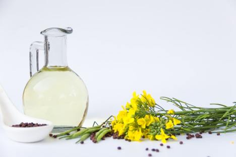 Is Canola Oil Banned in Europe? Exploring Concerns