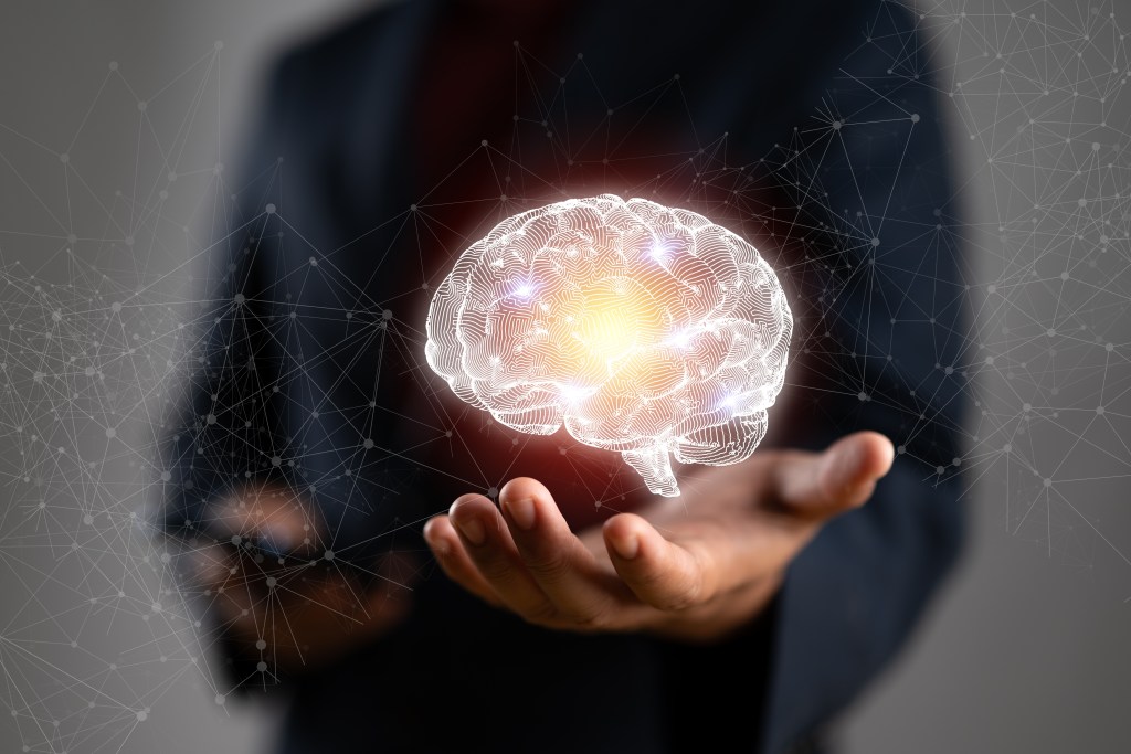 Brain illustration