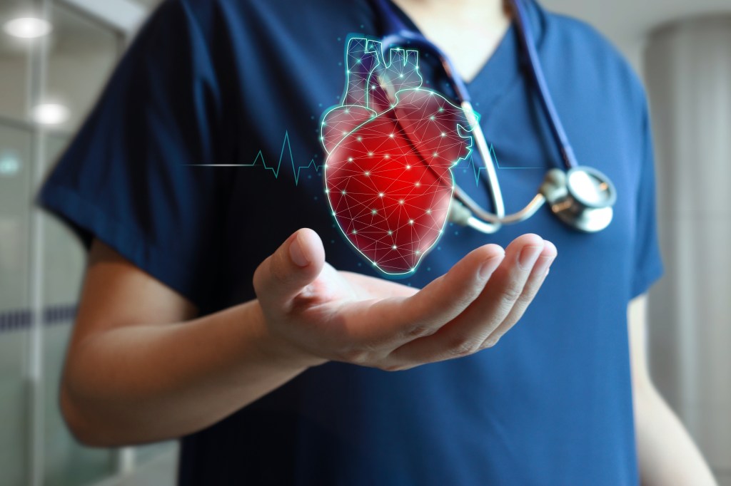 Doctor holding virtual heart