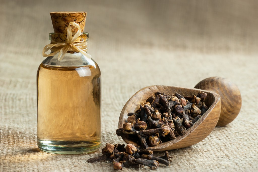 Clove oil in bottle 