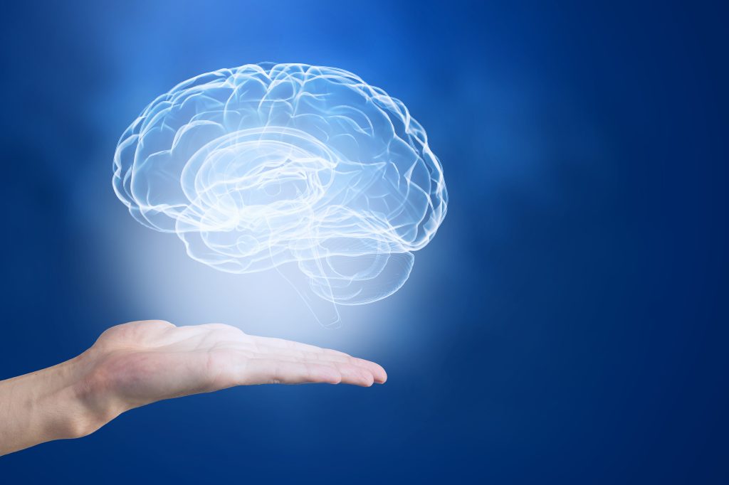 Brain illustration