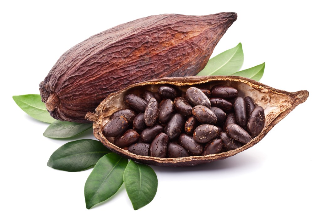 Cocoa pod with beans&nbsp;