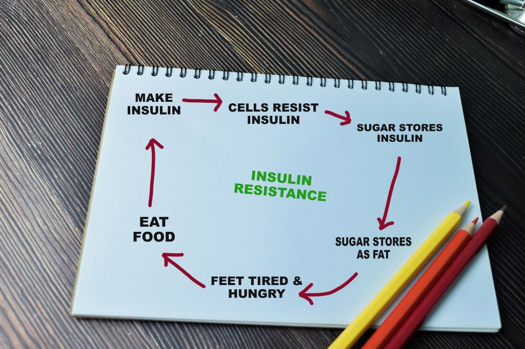 Insulin resistance concept   