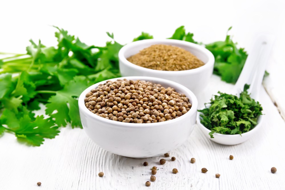 Cilantro, coriander seeds, and powder