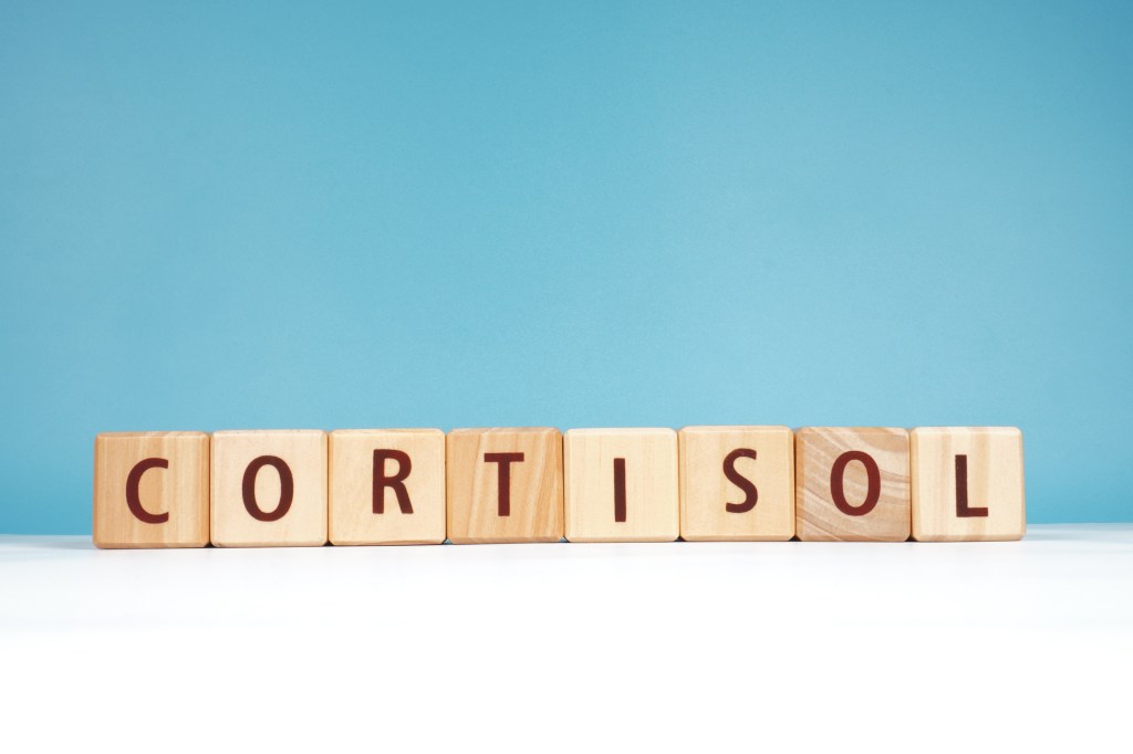 Cortisol on wooden blocks   