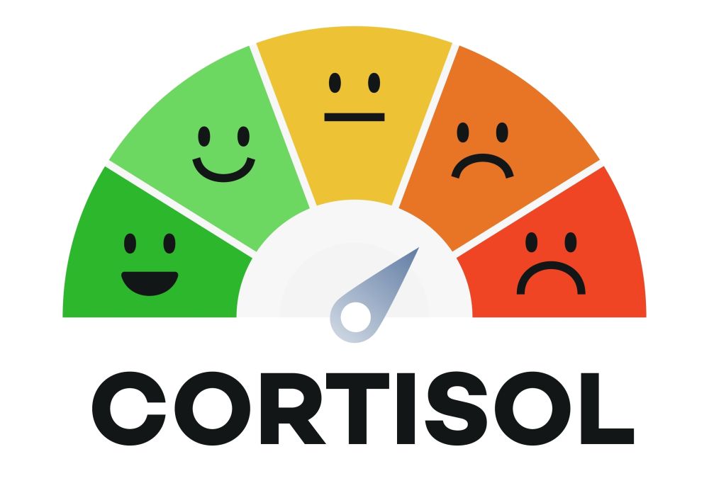 Cortisol concept