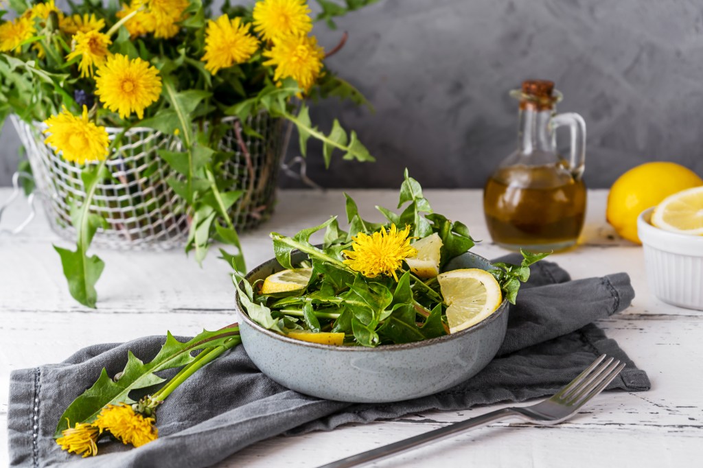 Dandelion green salad