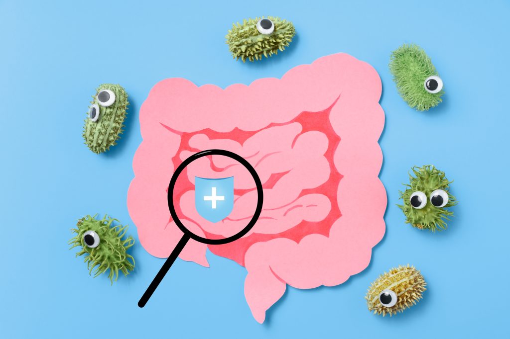 Gut health concept