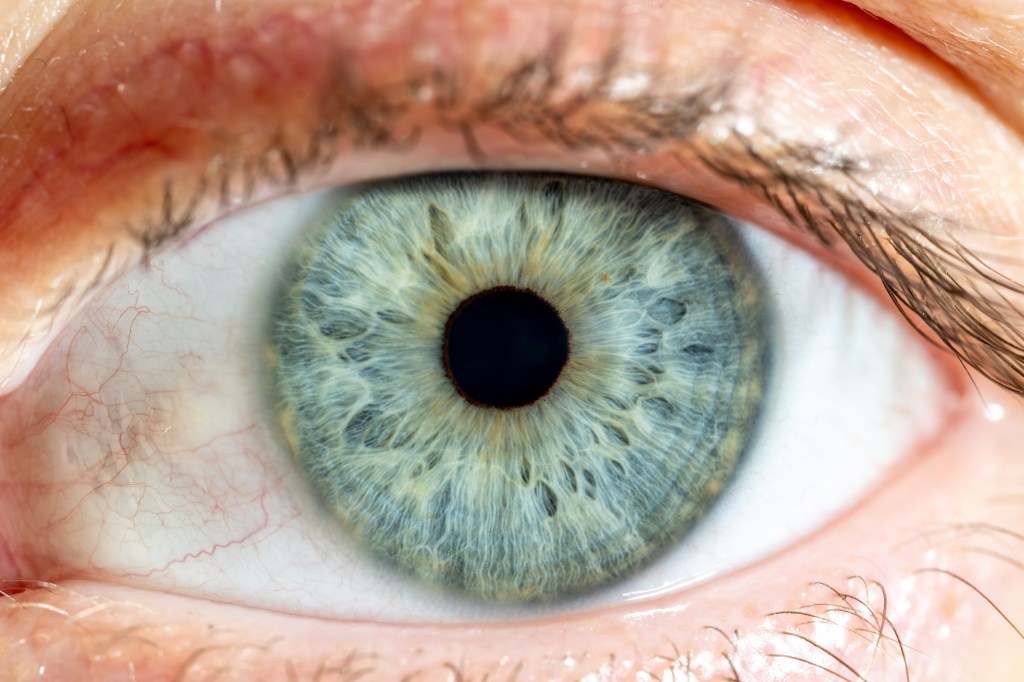 Close shot of eye